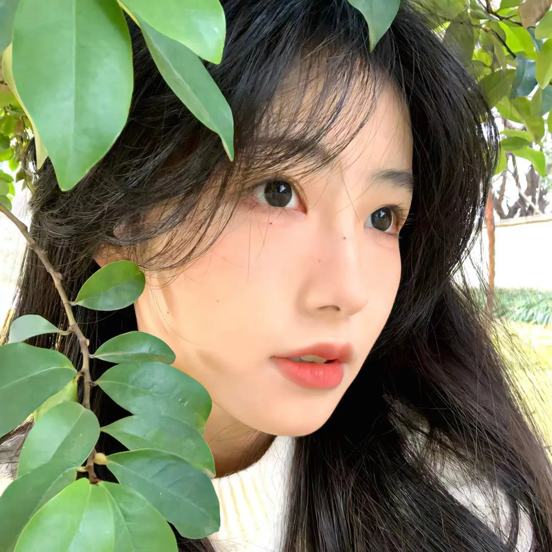 可可农场